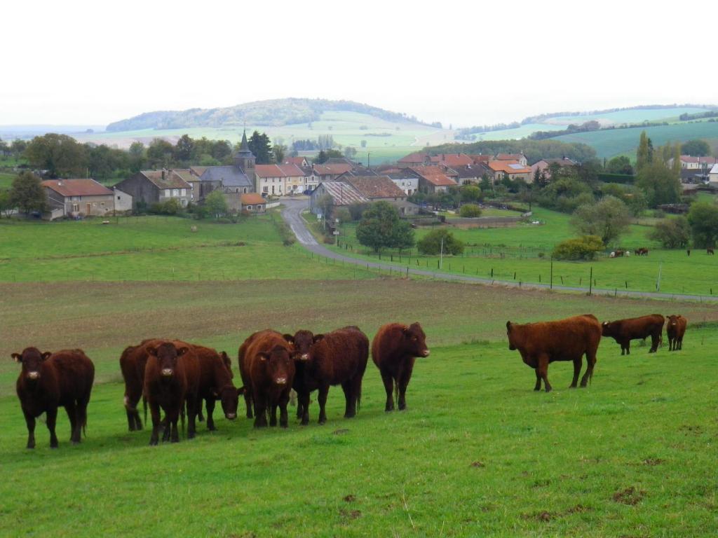 Chambre D'Hotes La Ferme Du Vallon Moirey Екстериор снимка
